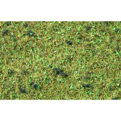 08157 Streugras Waldboden, 120 g