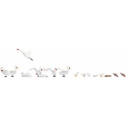 15774 Schwäne und Enten