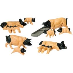10149 Schwäbisch Hällische Schweine