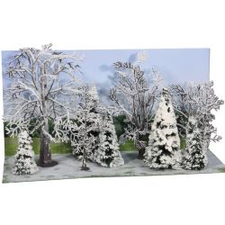 2101 Winterwald, 10 Bäume und Tannen 7-14 cm