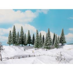 24681 Schneetannen 10-14 cm hoch (16 Stück)