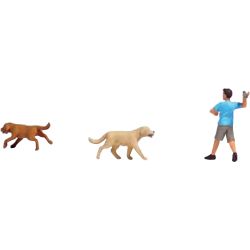 8858 Apportierspiel mit Hunden