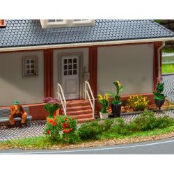 181284 6 Topfpflanzen