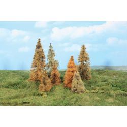 2178 Lärchen herbstlich, 7 - 11 cm (7 Stück)