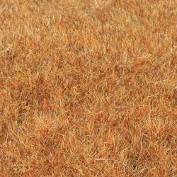 33545 Grasfaser Wildgras 'Spätherbst', 75 g