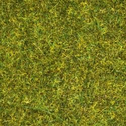 07117 Wildgras "Wiese", 50 g