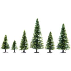 26323 Modellfichten, 6 - 15 cm hoch (50 Stück)