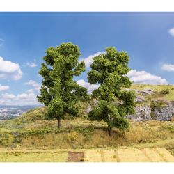 181572 2 Buchen (180 mm hoch)