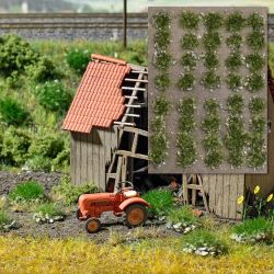 3553 Grasbüschel mit Steinen Spätsommer