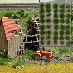 3552 Grasbüschel mit Steinen Sommer