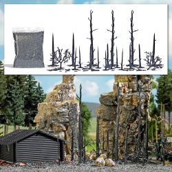 1854 Abgebrannter Wald