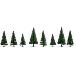 25640 Tannen, 8 Stück, 8-12 cm hoch