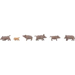 155909 Wildschweine