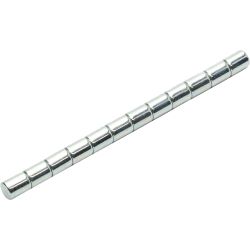 8431 Dauermagnete (12 Stück)