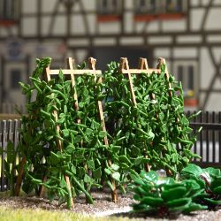 1269 Stangenbohnen