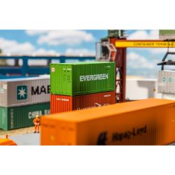 180821 20' Container "EVERGREEN"