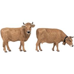331554 G Allgäuer Braunvieh