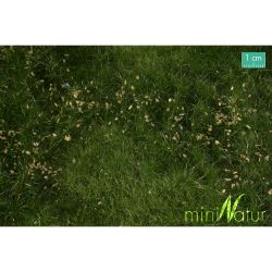 734-22 S Auenwiese mit Unkraut