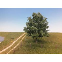 280-62 Eiche