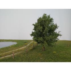 229-42 Pflaumenbaum