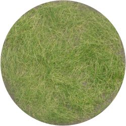 012-33 Grasflock 12 mm, Frühherbst, 50 g