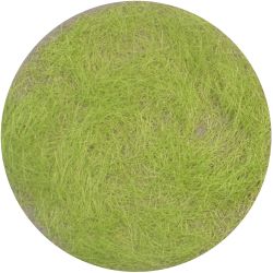 012-31 Grasflock 12 mm, Frühling, 50 g