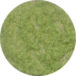 002-23 Grasflock 2 mm, Frühherbst, 50 g