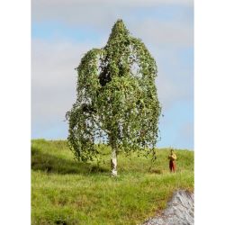 20121 Hängebirke, 12 cm hoch