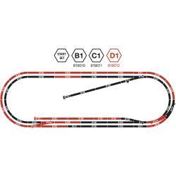 919012 N Gleisset D1