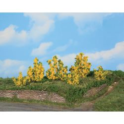 11800 6 Forsythiensträucher 3-6 cm