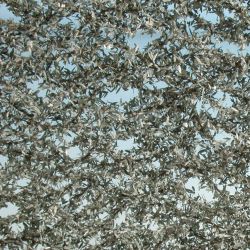 945-22 H0 Olivenbaumlaub Sommer, ca. 27 x 15 cm