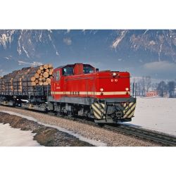 1021952 H0e Diesellok D 10, ZB, Ep. V