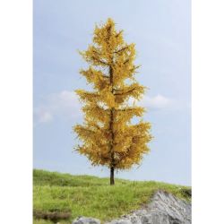 20167 Lärche, herbstlich