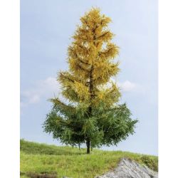 20168 Lärche, herbstlich