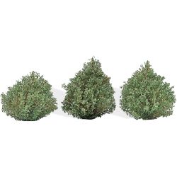 3607 H0 3 Büsche Sommer