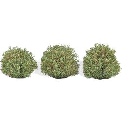 3608 H0 3 Büsche Spätsommer