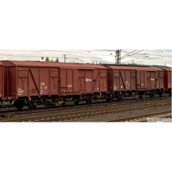 70100 H0 2er Set gedeckte Güterwagen, CD Cargo, Ep. VI