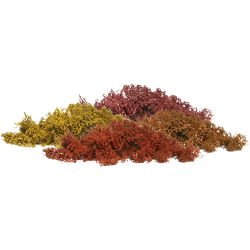 WL165 Islandmoos, Herbstmix, 80 g