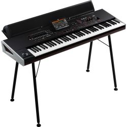 Korg Pa4X 76 + Speaker Amp System