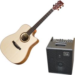 Lakewood D-18 CP + Koffer + L.R. Baggs Anthem + Akustikverstärker