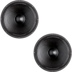 B&C 18 PS 76 Lautsprecher 2er Set