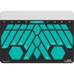 Sensel Morph + Buchla Thunder Overlay