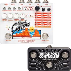 Electro Harmonix Grand Canyon Delay/Looper + Foot Controller