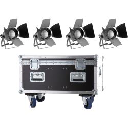 STAGG King PAR 60 Watt RGB COB LED 4er Set + Truhencase