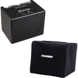 AER Compact 60 IV BK Akustikverstärker + Schutzhülle