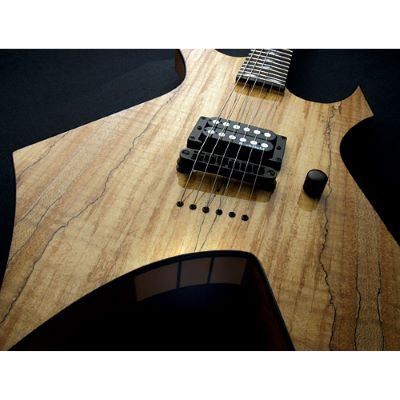 Bc rich deals warlock exotic