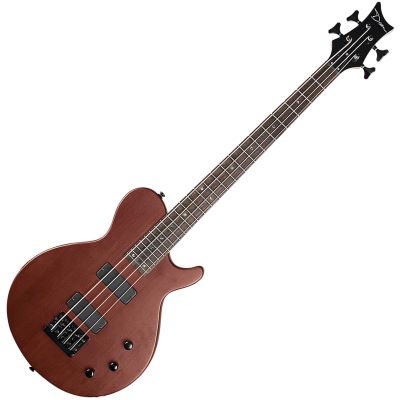 schecter dug pinnick 12 string bass