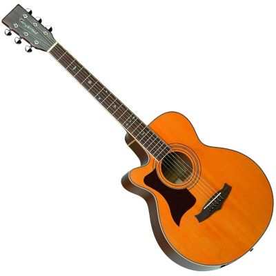 Tanglewood tw145 2024