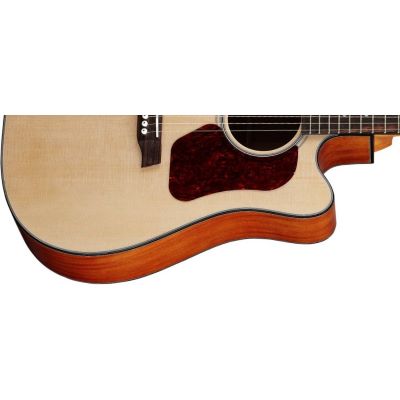 walden guitars d550 price