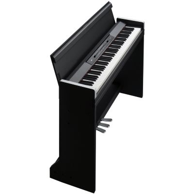 Korg LP-350 Slimeline Concert Piano BK | music store